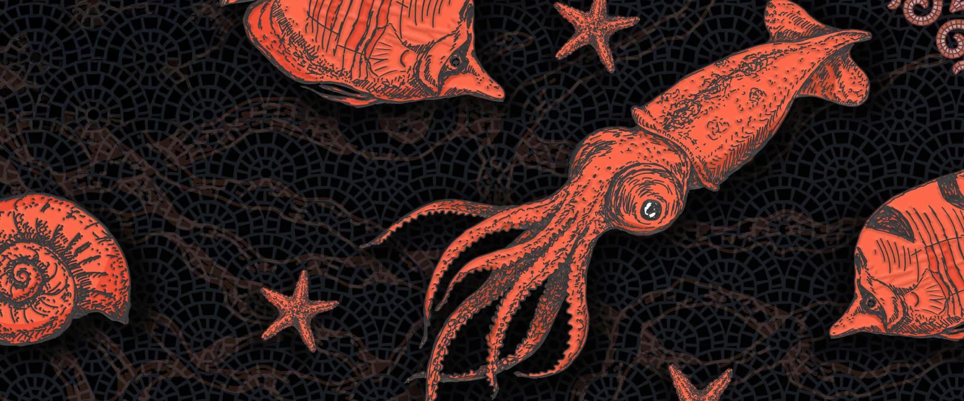 Calamares en su tinta