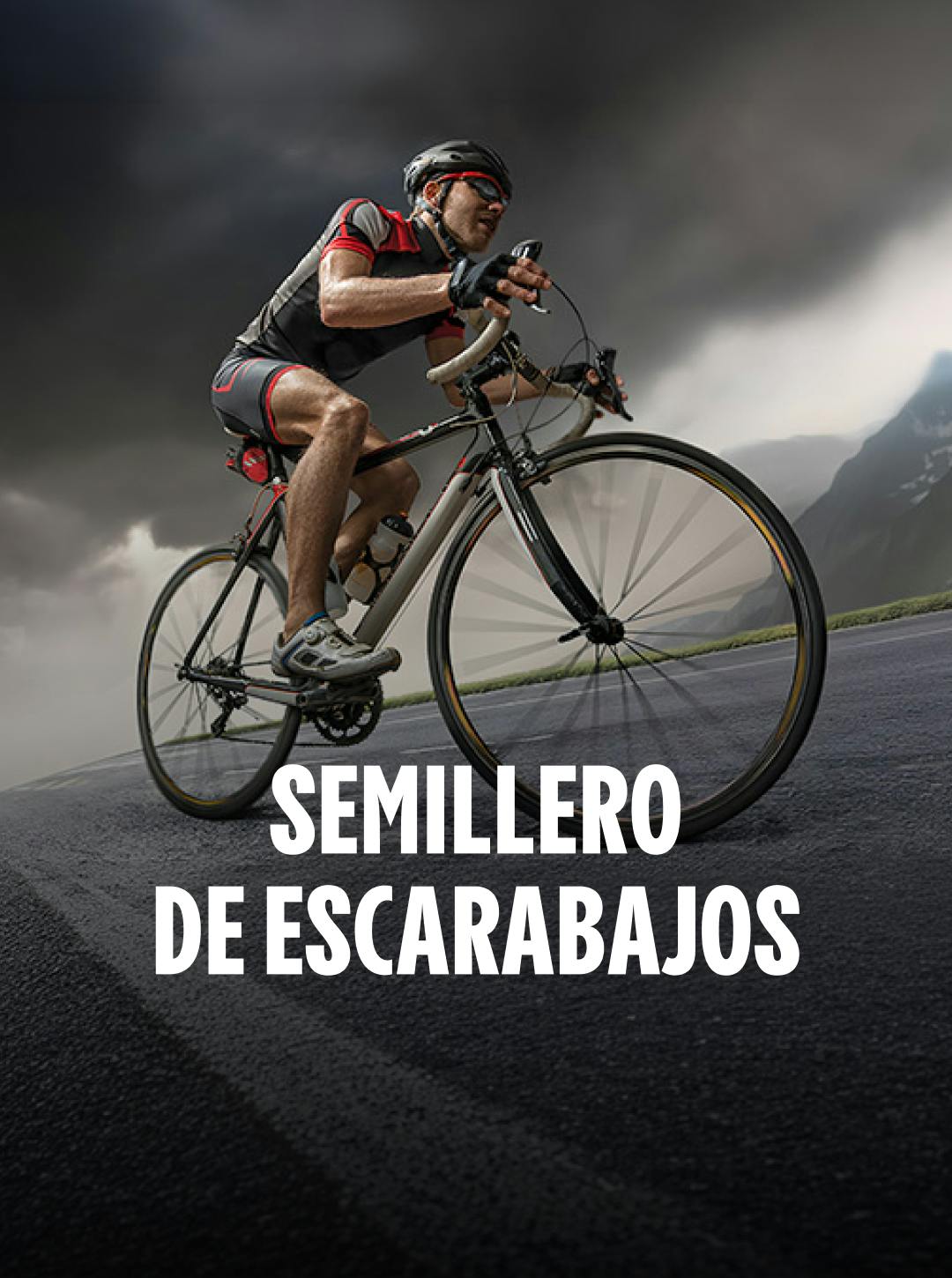 Semillero de escarabajos