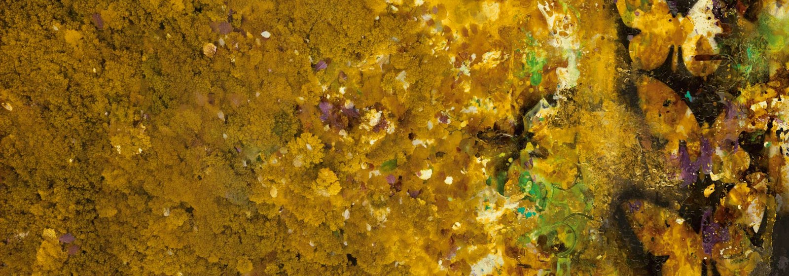 Herencia: Los cantos de la tierra