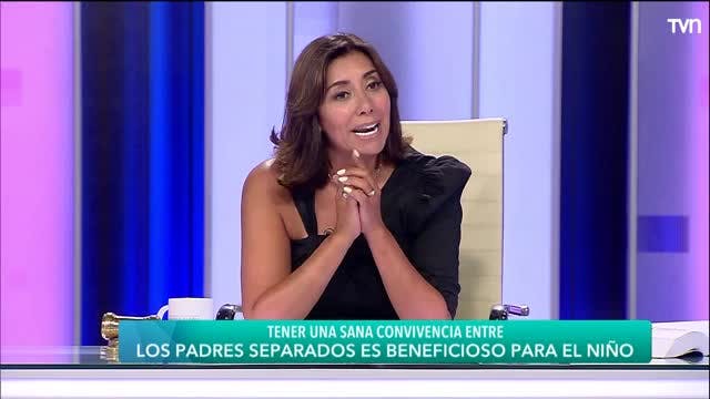 Capítulo 28 de junio: Quiero ver a mi hijo | Carmen Gloria a tu servicio