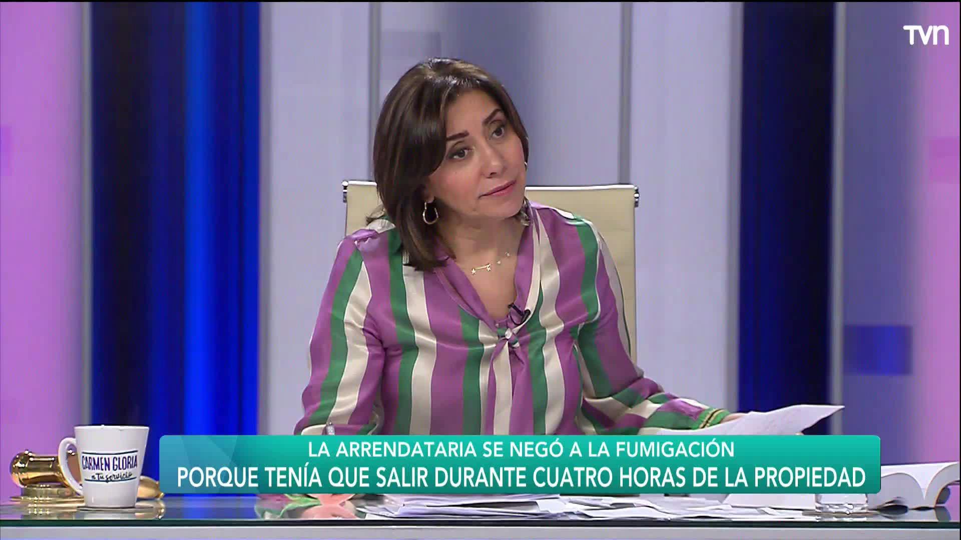 Capítulo 22 de julio: Todo incluido | Carmen Gloria a tu servicio 