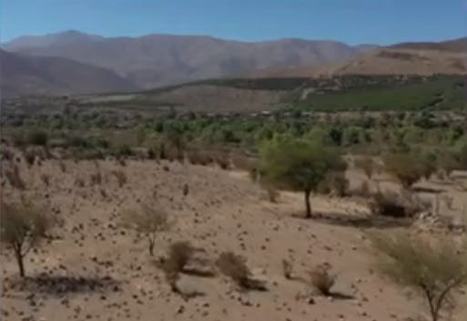 Marcelo Lagos e informe de la ONU sobre el cambio climático: El planeta está enfermo