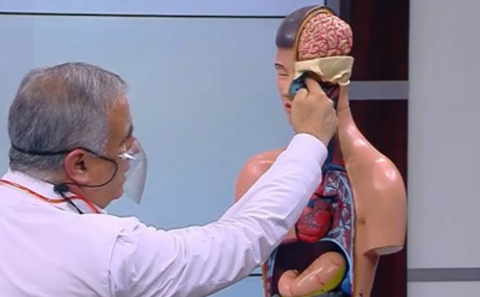 Enfermedades de invierno ¿Cómo cuidarnos del resfrío y gripe? 