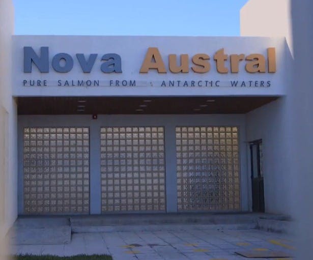 Caso Nova Austral, en la mira de la Superintendencia de Medioambiente | Informe Especial