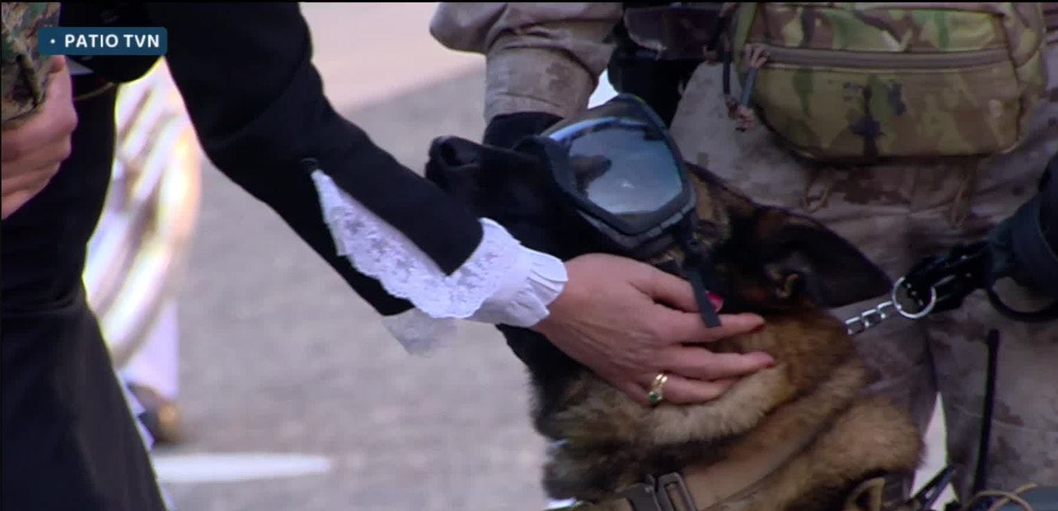 Conocimos a la Brigada Canina del Ejército
