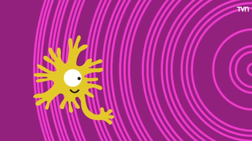 Juego divertido | Despertando las neuronas - T1E1