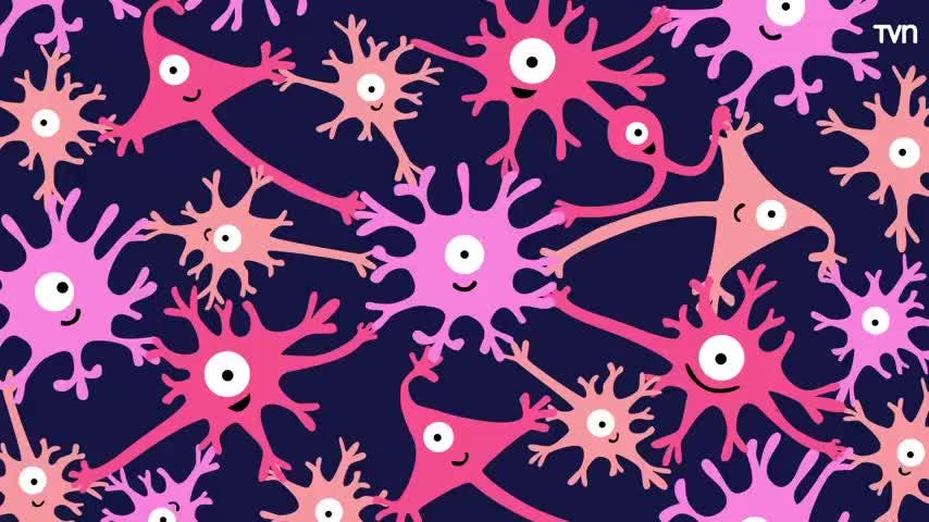 Neuronas neuronitas | Despertando las neuronas - T1E7