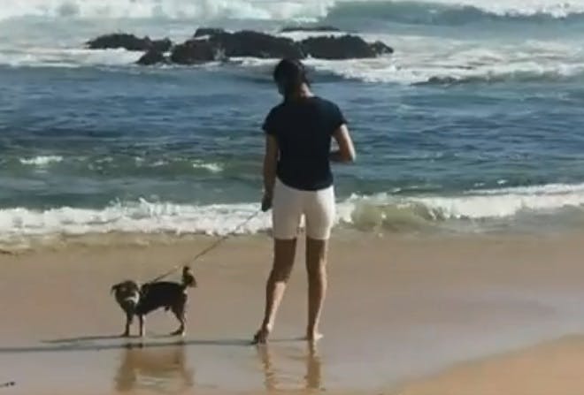 Todos felices en el litoral central: Así se vivió el fin de semana largo en la costa