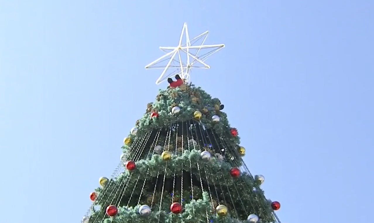 Hace 30 años que arma árbol de Navidad gigante para todos sus vecinos