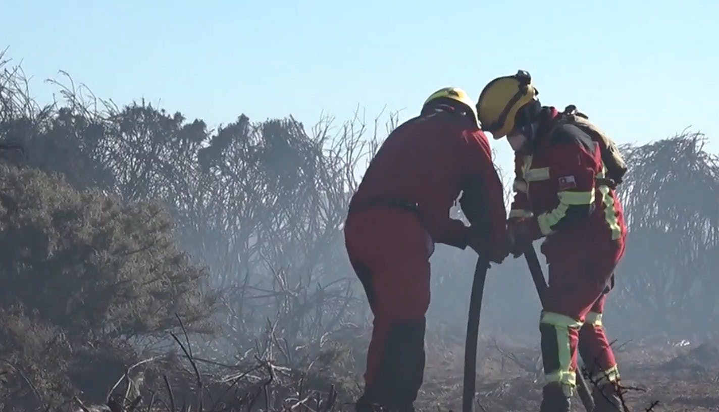Alerta Roja por violentos incendios forestales: Más de 11 mil hectáreas quemadas en la zona centro sur 