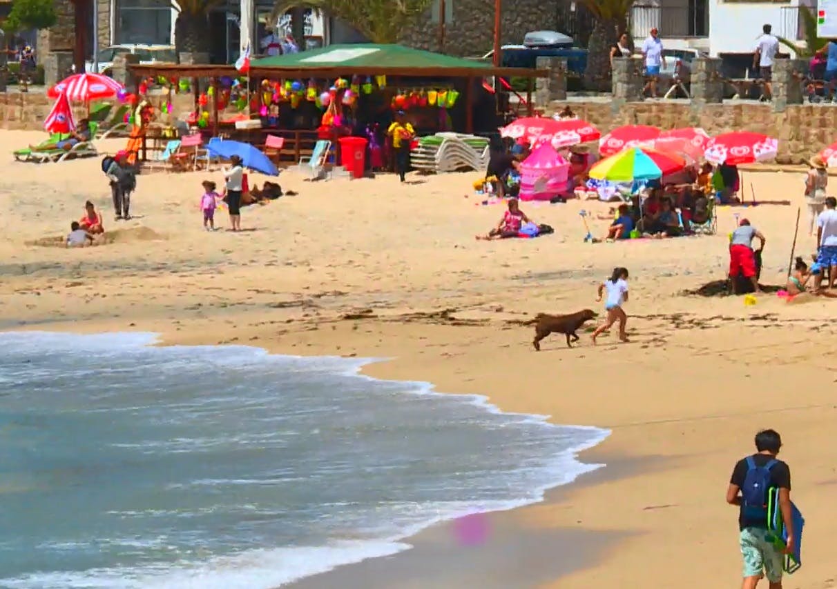 Problemas en el litoral: Peleas, aglomeraciones y playas saturadas de turistas 