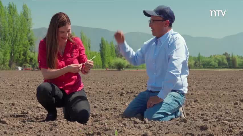 El maíz y el arroz | Cocina Lab - T1E6