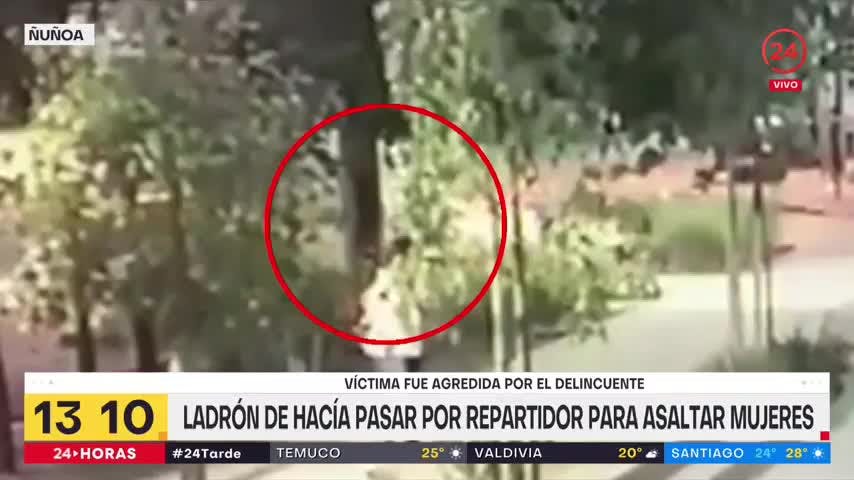 24 Tarde - Miércoles 19 de enero