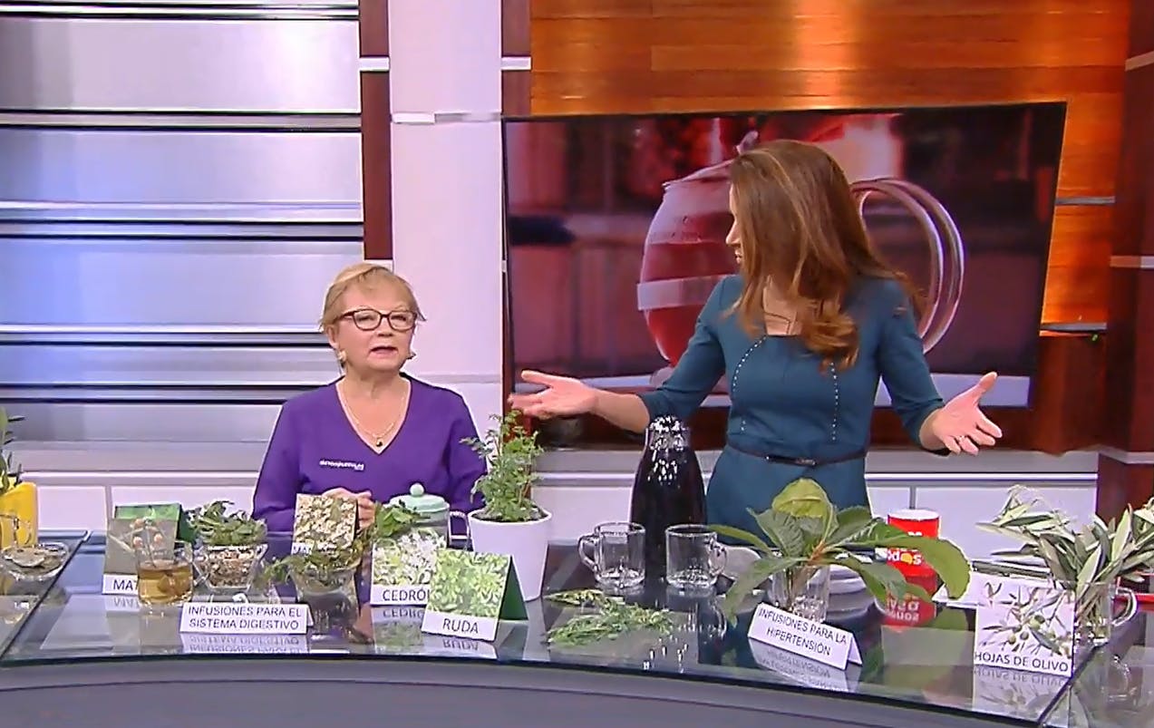 Conozca las mejores infusiones para aliviar dolores y malestares 