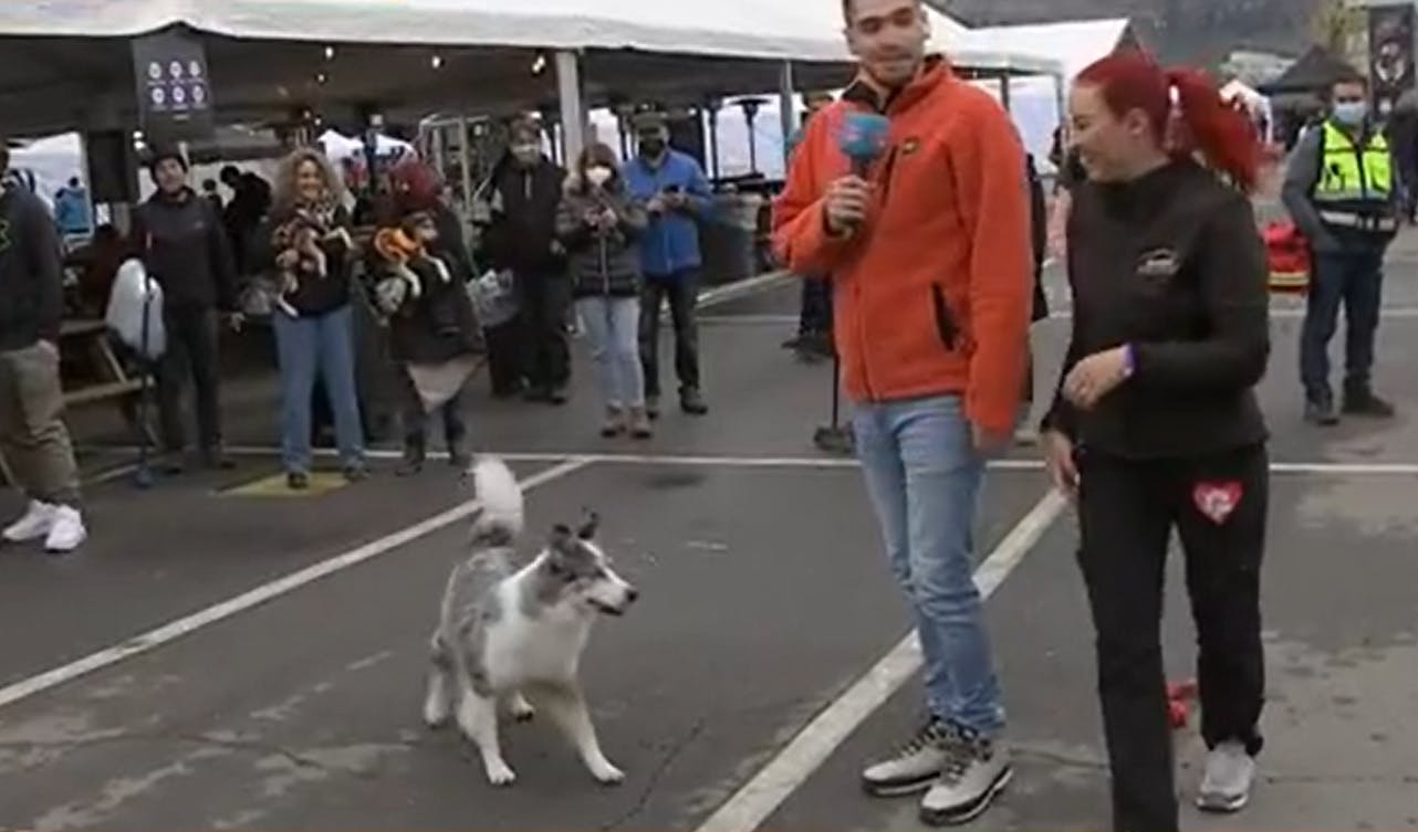 Estamos en el evento canino más grande de Sudamérica