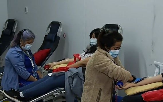 Hoy es el Día Mundial del Donante de Sangre