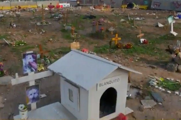 Polémica por cementerio de mascotas en un lugar residencial de Pudahuel