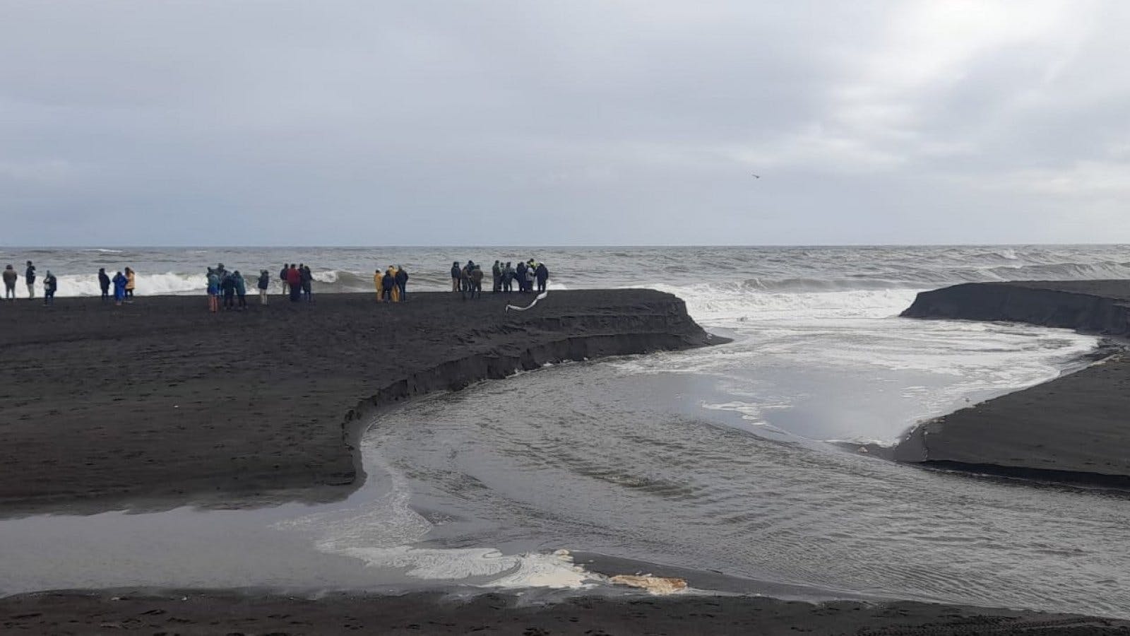 Salió a pasear con sus hijos: Intensa búsqueda de mujer que fue arrastrada por el mar en Pelluhue