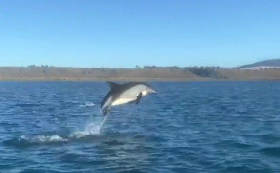 Un sorprendente paseo por el Estrecho de Magallanes