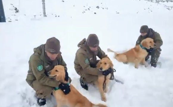 Conocimos el entrenamiento de perritos en el Paso Los Libertadores