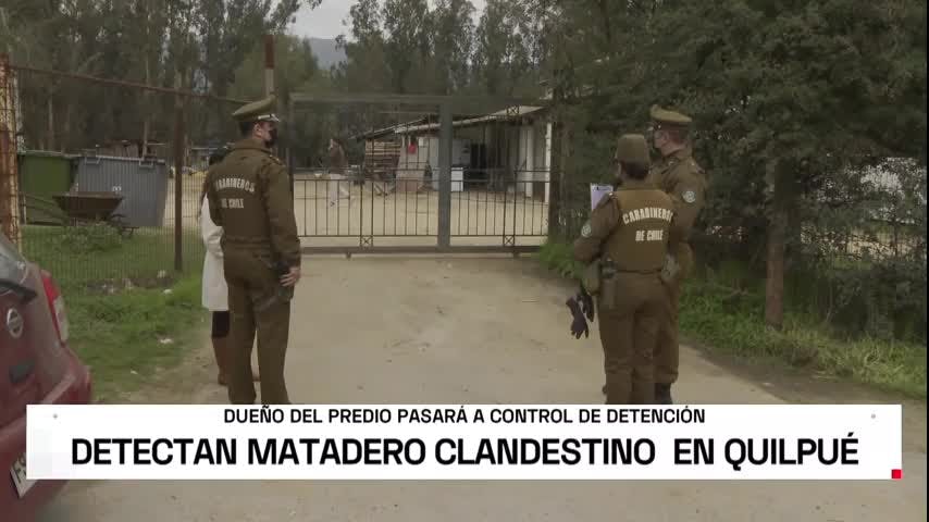 Detienen a dueño de matadero clandestino en Quilpué