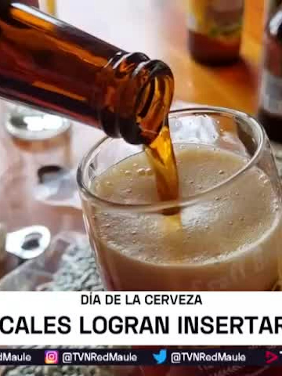 Cervezas maulinas se consolidan en bares