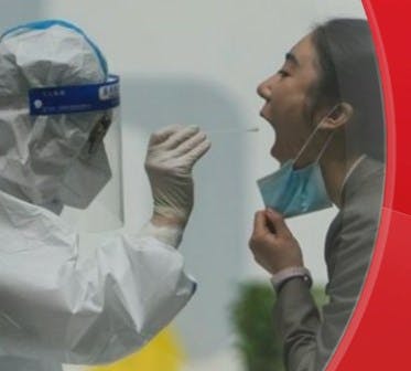 Henipavirus: ¿Qué se sabe del nuevo virus de origen animal detectado en China? 