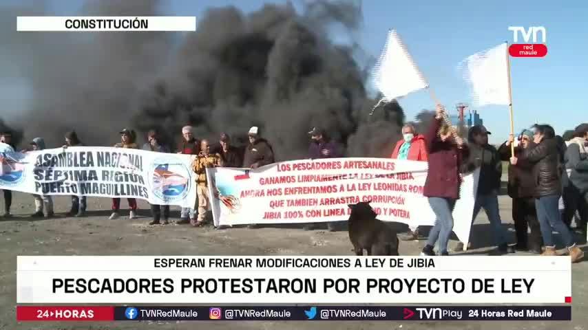 Rechazan intento de cambios a Ley de la jibia