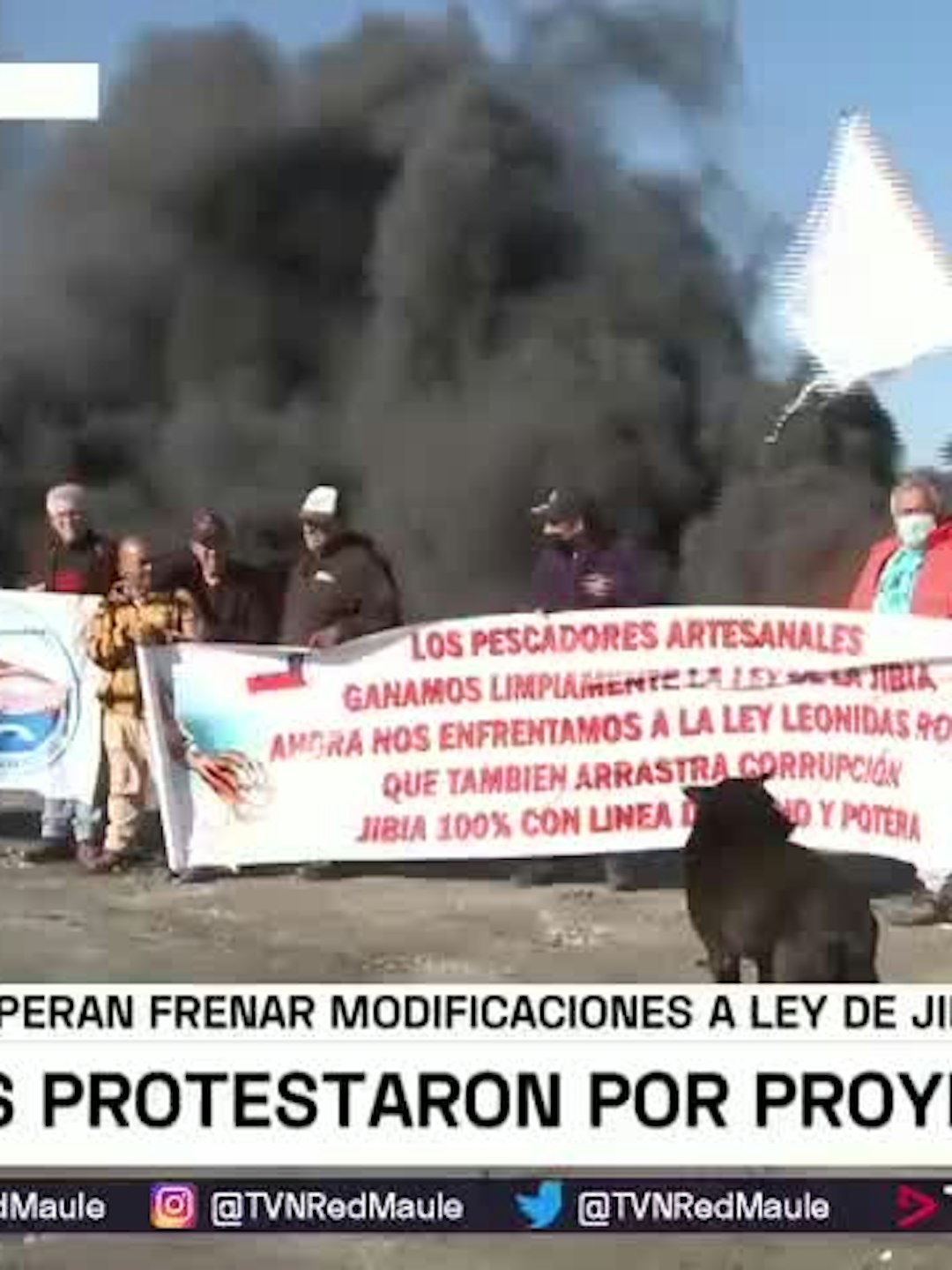 Rechazan intento de cambios a Ley de la jibia