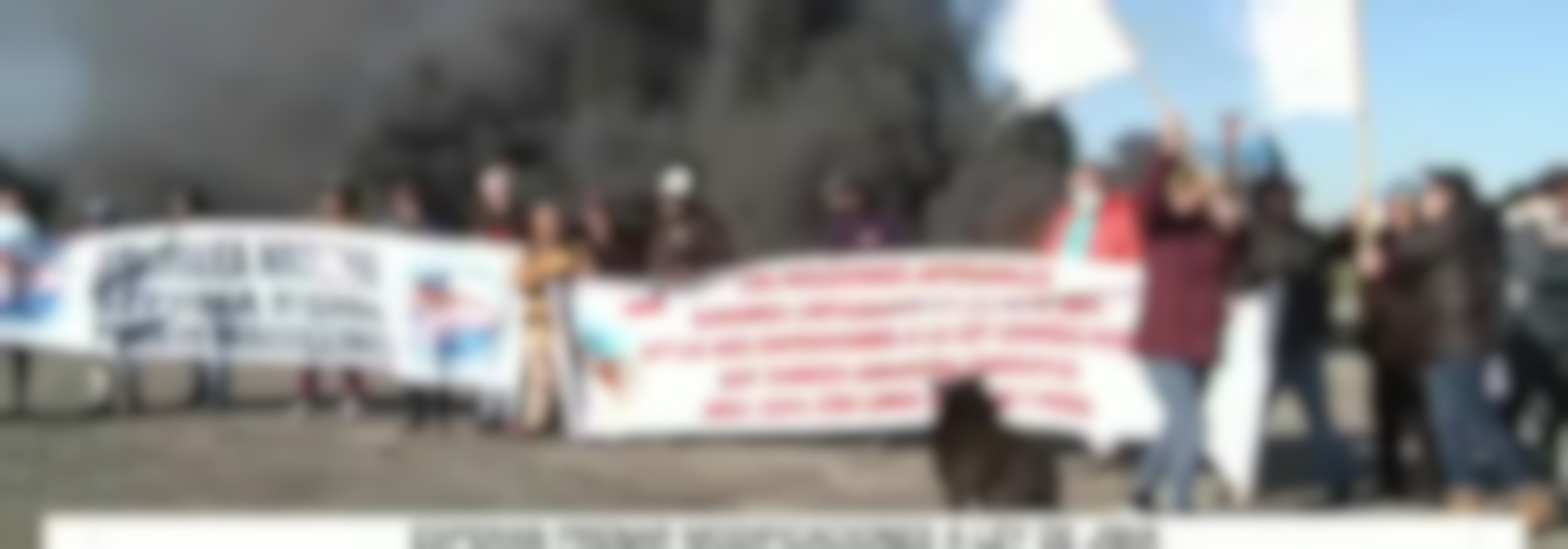 Rechazan intento de cambios a Ley de la jibia