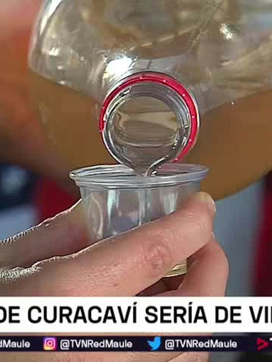 En Villa Alegre causa furor la venta de chicha y vino