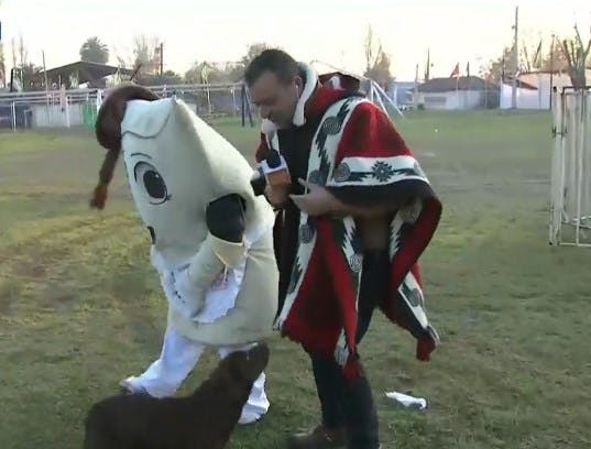 Empanadita consigue un nuevo amigo en Calera de Tango