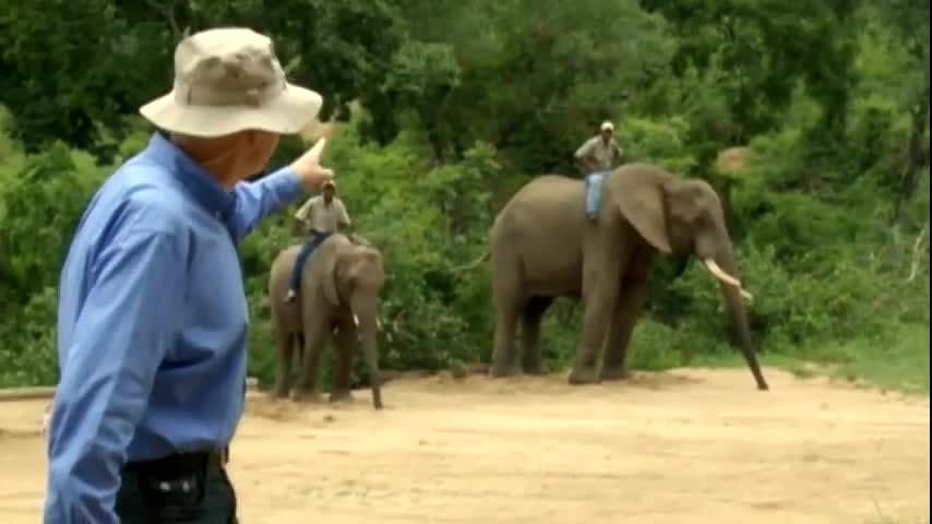 Nelspruit | Sudáfrica mía - T1E1