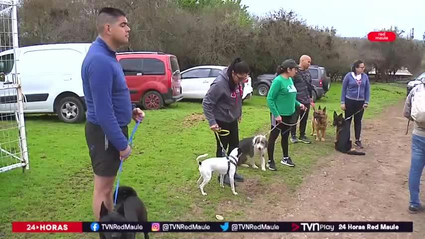 Realizan inédito trekking para mascotas y sus dueños