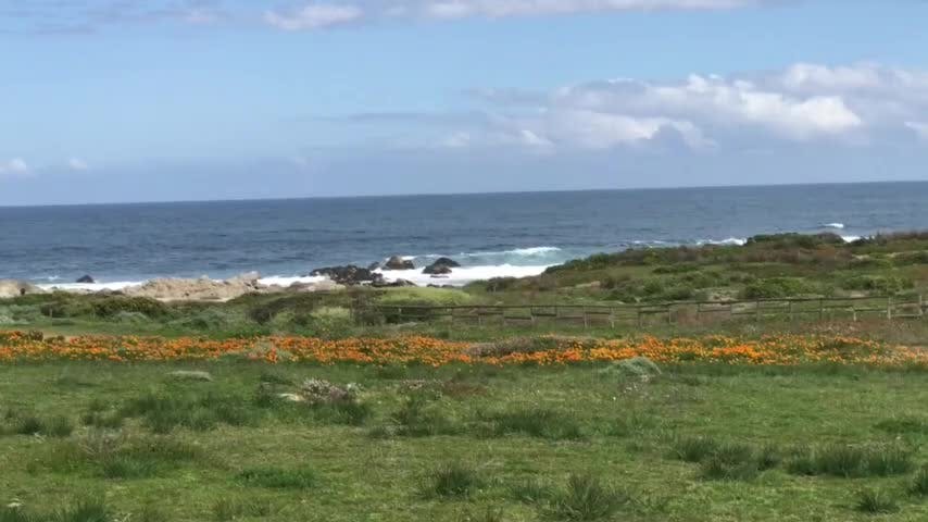 Comunidad  se opone a proyecto inmobiliario de Punta de Tralca