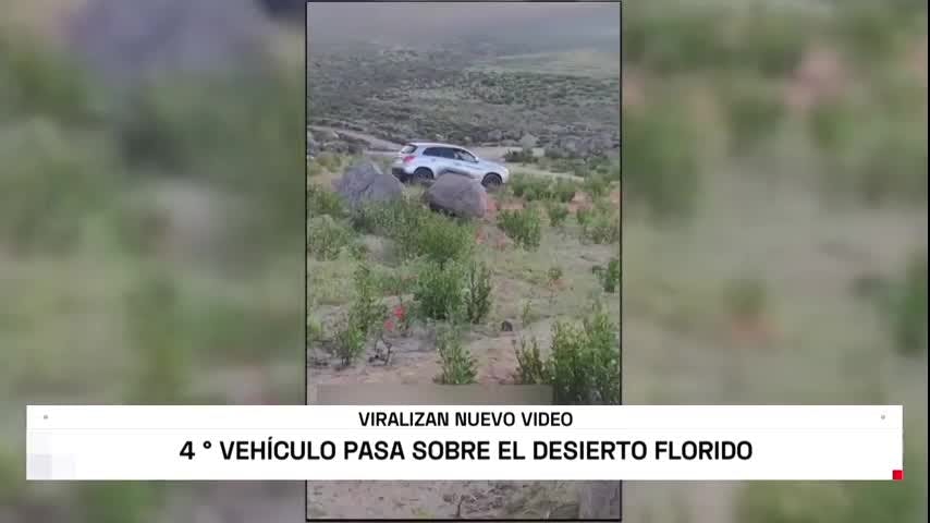 Cuarto vehículo pasa sobre el desierto florido