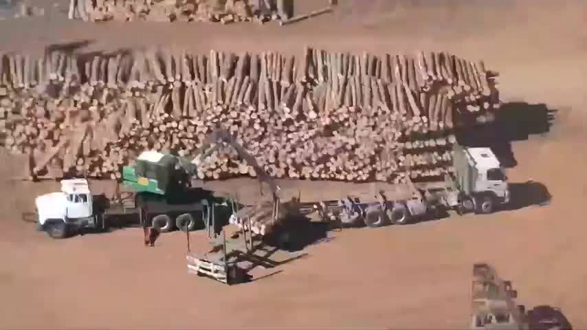Publicada ley de robo de madera