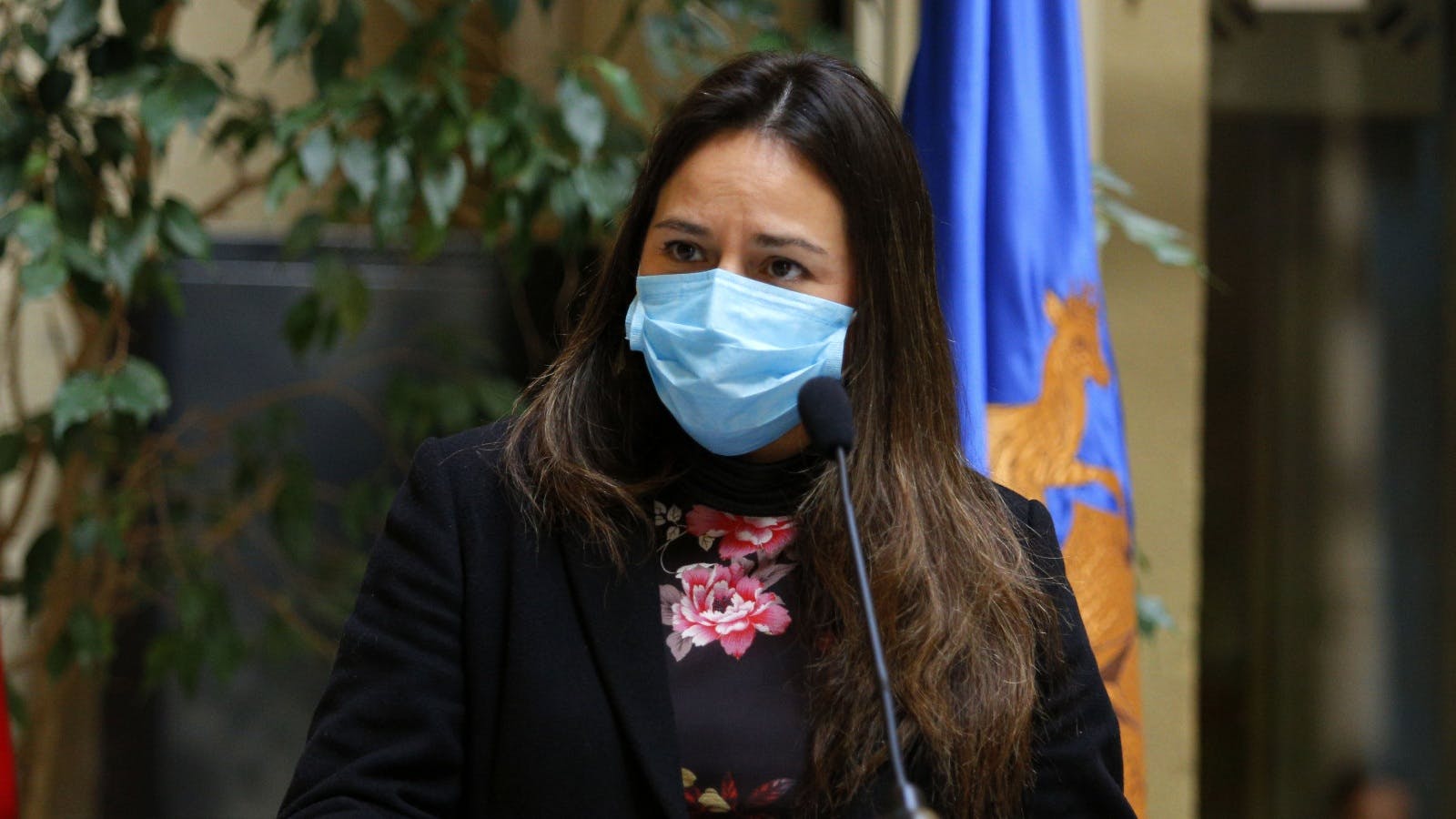Pérez y crisis en la DC tras plebiscito: Fue un error del partido obligar una postura