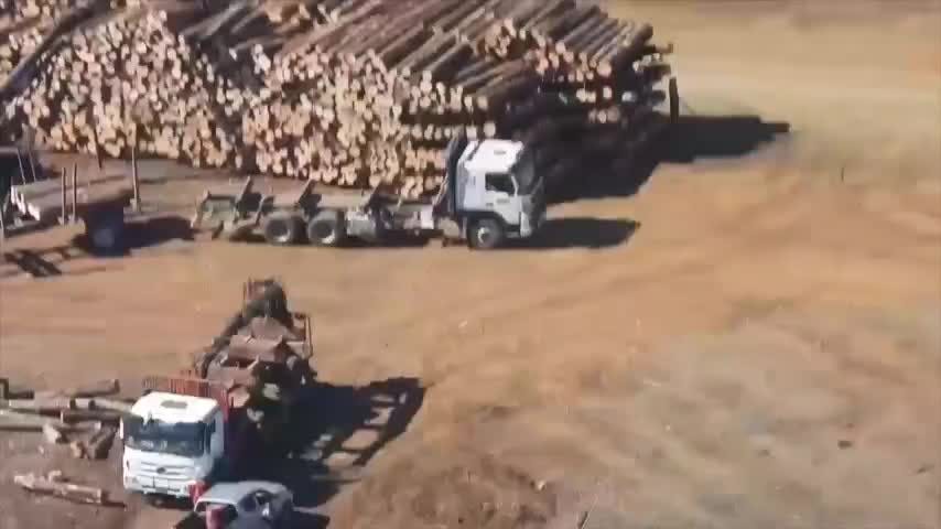 Críticas por libertad a imputados por ley de robo de madera