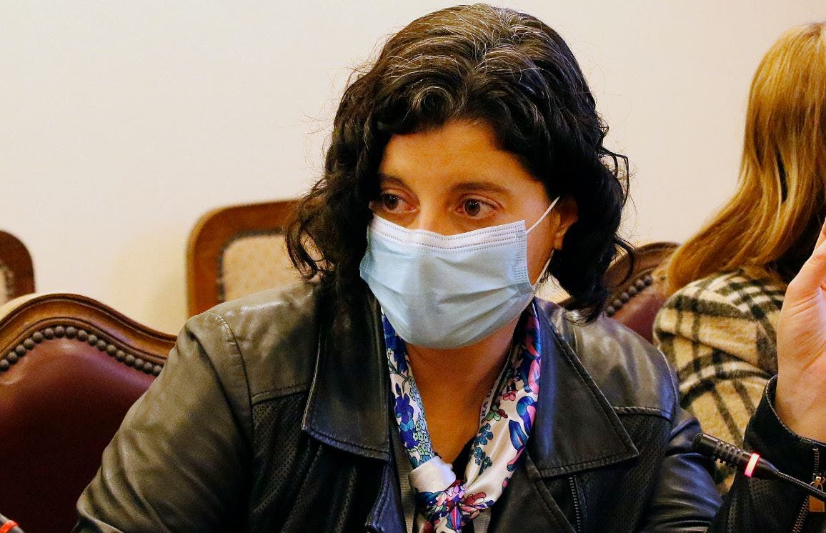 Daniela Dredner, delegada presidencial del Biobío: El robo de madera es esencial para desbaratar bandas criminales
