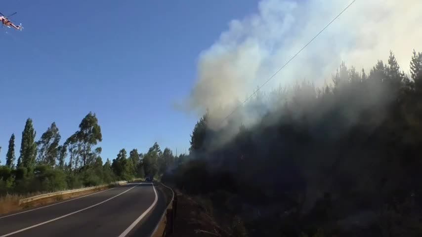 Anticipan una complicada temporada de incendios forestales