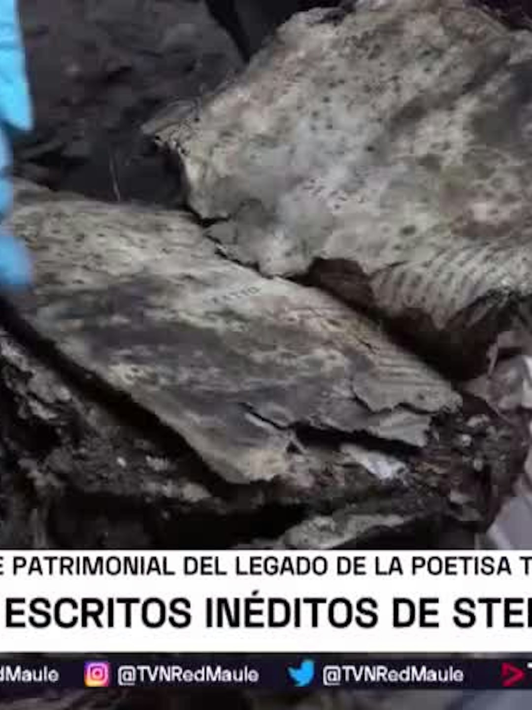Encuentran escritos inéditos de Stella Corvalán