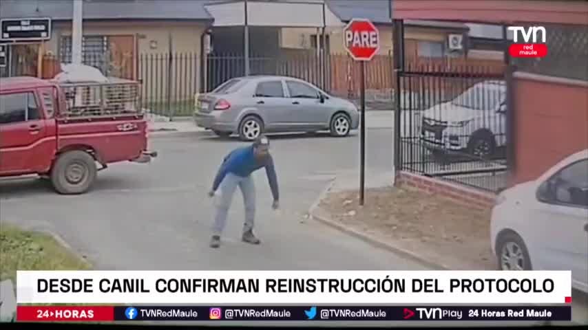 Canil no cumplió protocolos al capturar perro callejero