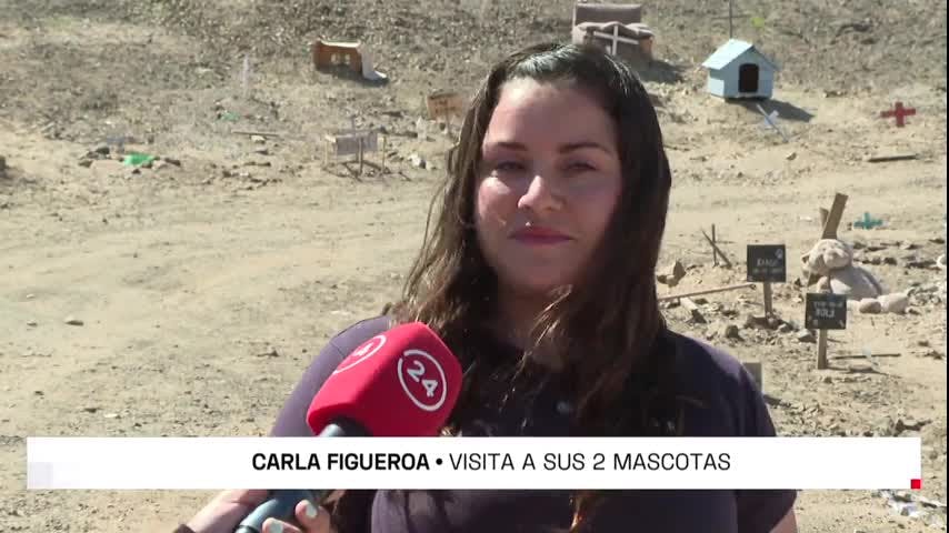 Cementerios de mascotas
