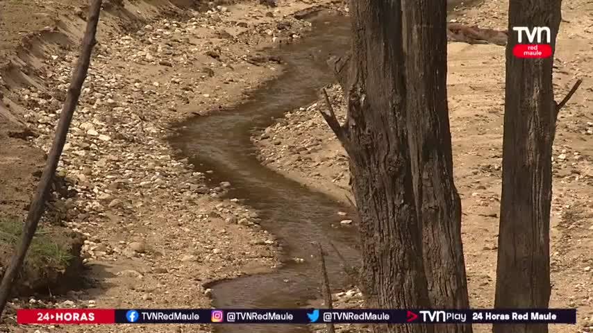 Déficit de agua alcanza el 40% y complica el riego