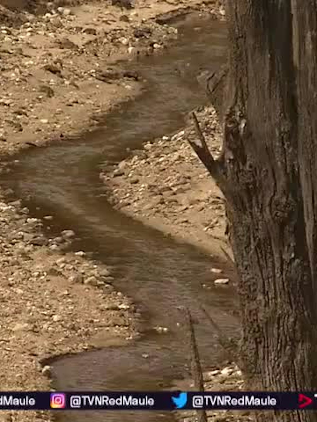Déficit de agua alcanza el 40% y complica el riego