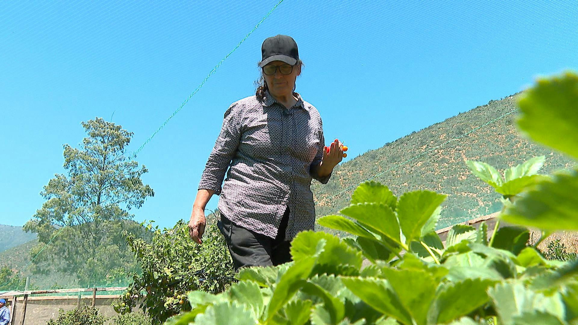 Mujeres líderes con emprendimientos agrícolas aumentan en la región