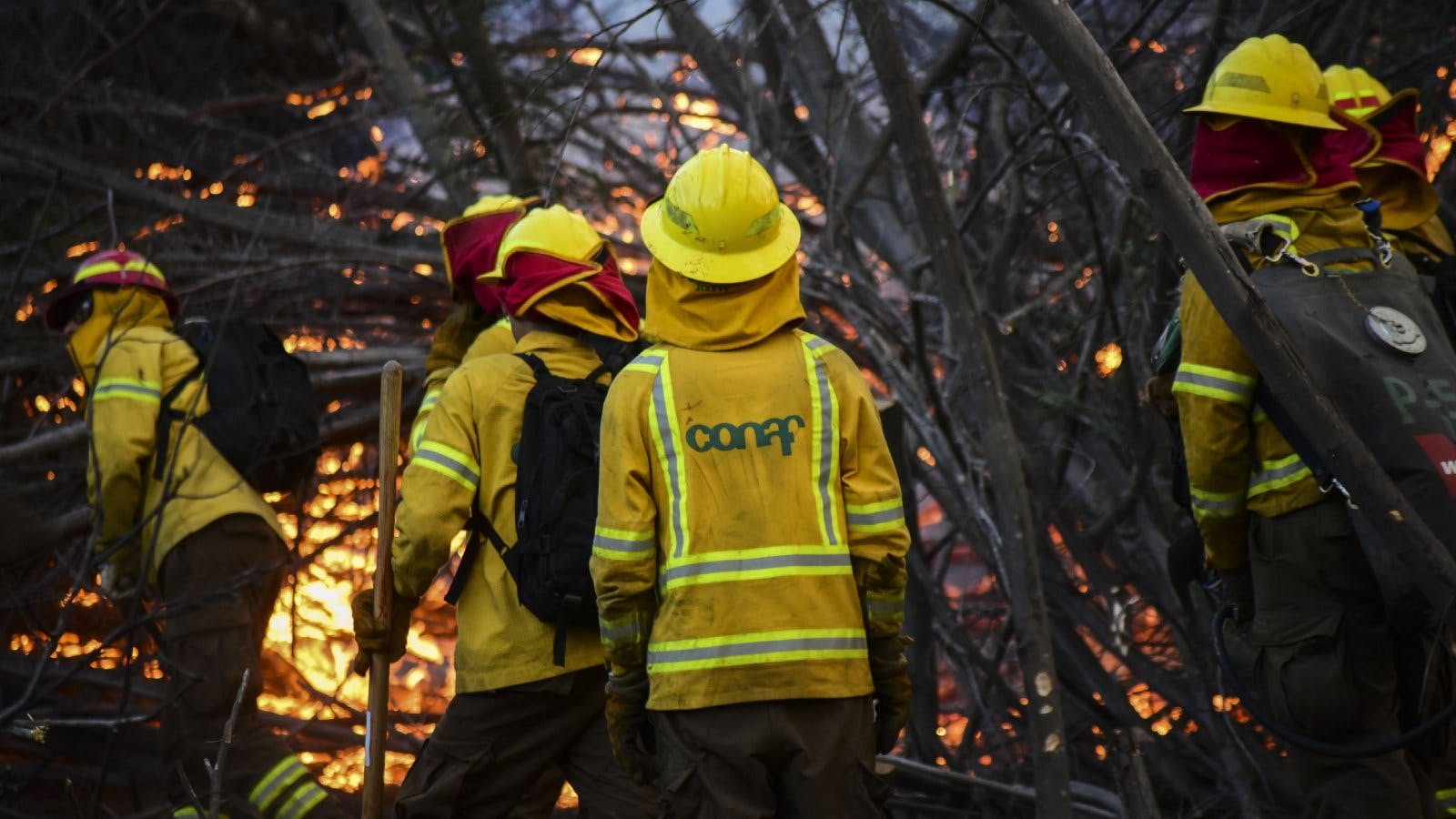 Conaf hace llamado a la prevención de incendios forestales: Noviembre va a estar bastante complejo