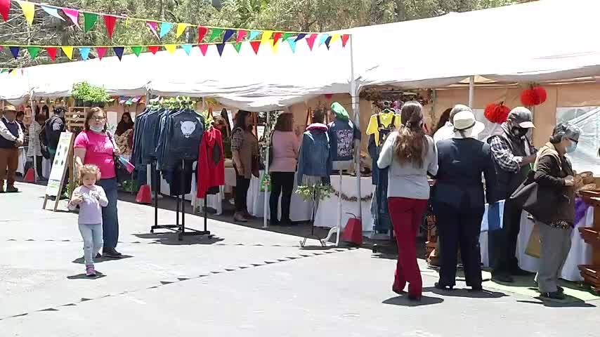 Aprueban 950 millones para programa mujer emprende
