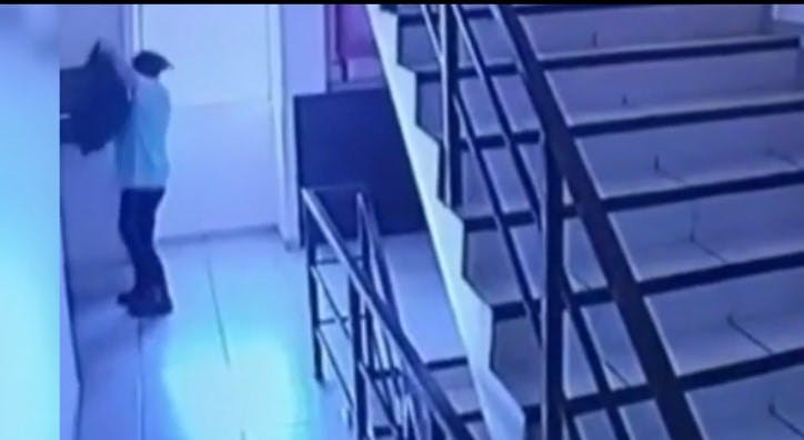 Inhumanos lanzan a perrita por el ducto de basura de un edificio de Antofagasta
